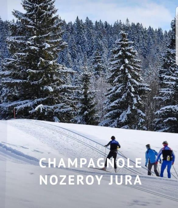 Gite Jura Mina Chalet Au Milieu De La Nature Villa Ney Bagian luar foto