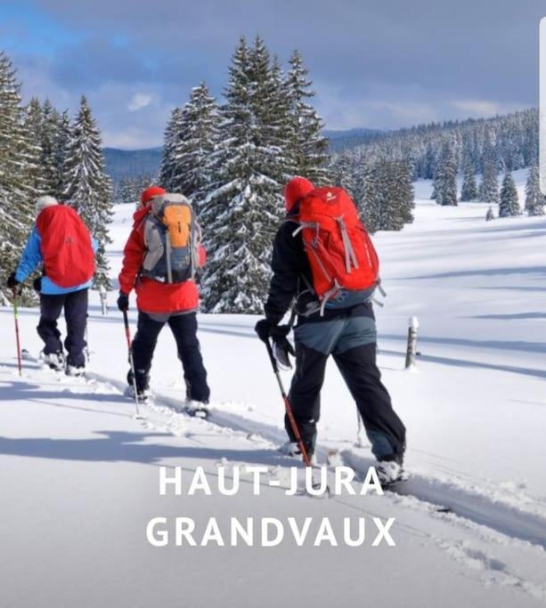 Gite Jura Mina Chalet Au Milieu De La Nature Villa Ney Bagian luar foto