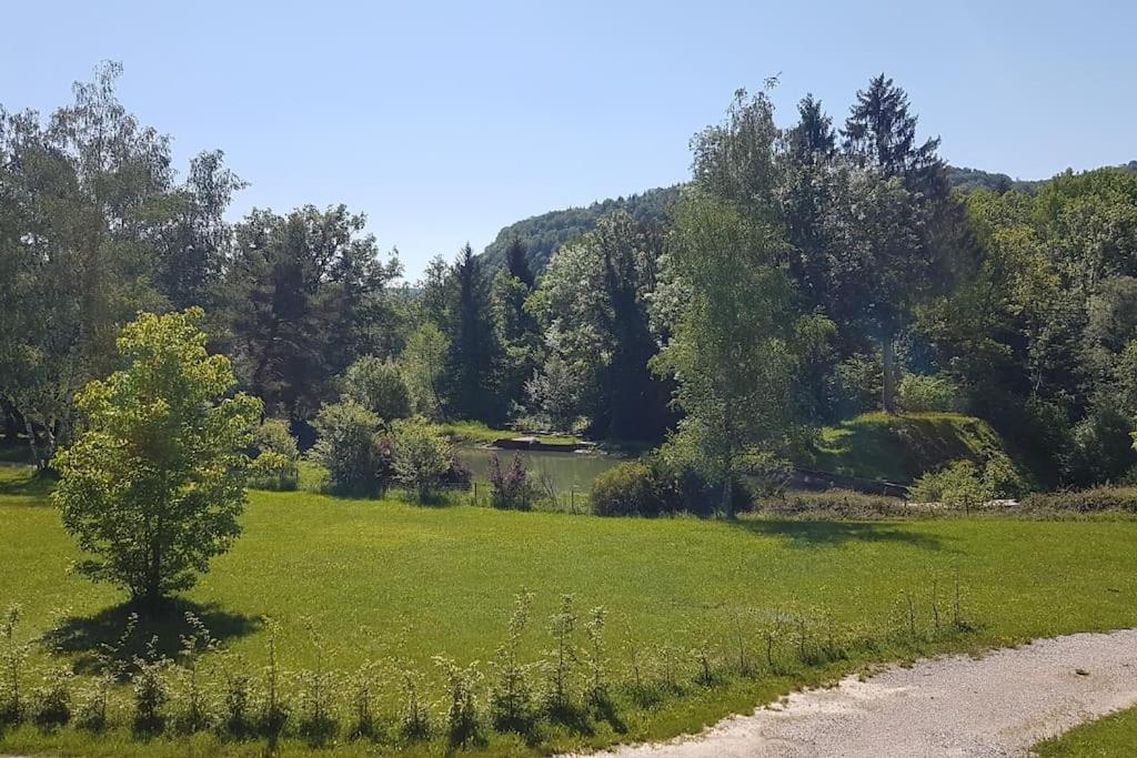 Gite Jura Mina Chalet Au Milieu De La Nature Villa Ney Bagian luar foto